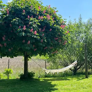  Ferienhaus Idylisches Mit Reh